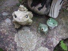 f:id:cangael:20120602162515j:image:left