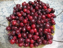 f:id:cangael:20120603175717j:image:right