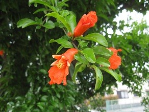 f:id:cangael:20120604145423j:image:left f:id:cangael:20120604145423j:image:left