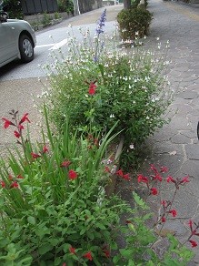 f:id:cangael:20120604145626j:image f:id:cangael:20120604145626j:image