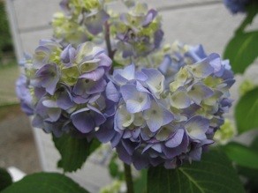 f:id:cangael:20120604160641j:image:right f:id:cangael:20120604160641j:image:right