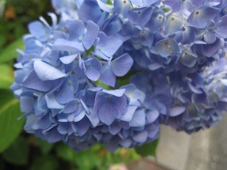 f:id:cangael:20120604160652j:image:right