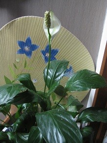 f:id:cangael:20120604213657j:image:right