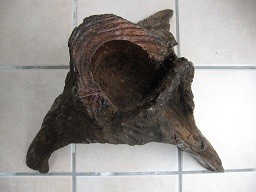 f:id:cangael:20120610112916j:image:right f:id:cangael:20120610112916j:image:right