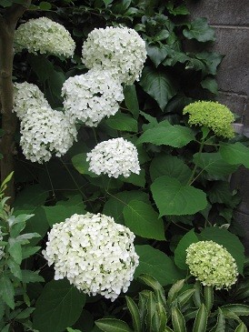 f:id:cangael:20120613072551j:image
