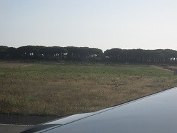 f:id:cangael:20120617020739j:image:right