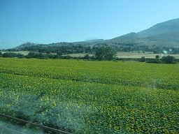 f:id:cangael:20120619160909j:image:left