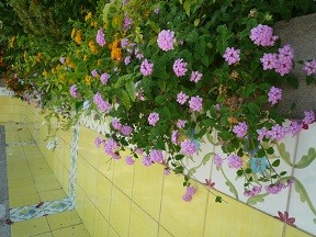 f:id:cangael:20120620220048j:image:right f:id:cangael:20120620220048j:image:right