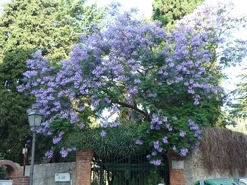 f:id:cangael:20120622144232j:image:left