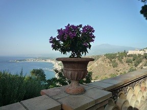 f:id:cangael:20120622145745j:image