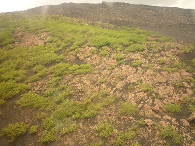 f:id:cangael:20120623205124j:image:right
