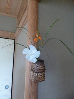 f:id:cangael:20120713135555j:image:left