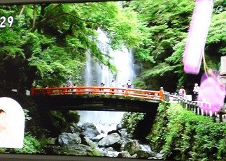 f:id:cangael:20120718122940j:image:right