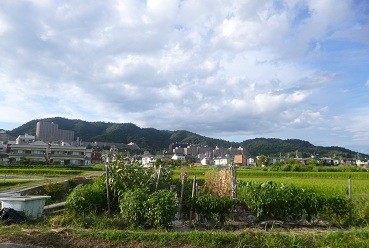 f:id:cangael:20120831170256j:image:right