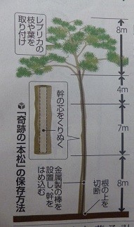f:id:cangael:20120913065658j:image:left f:id:cangael:20120913065658j:image:left