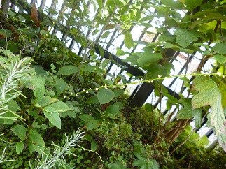 f:id:cangael:20120913103700j:image f:id:cangael:20120913103700j:image