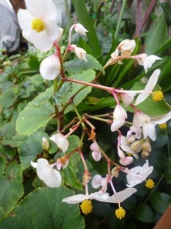 f:id:cangael:20120913104022j:image f:id:cangael:20120913104022j:image