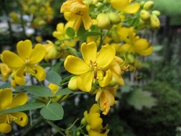 f:id:cangael:20120920154615j:image:right