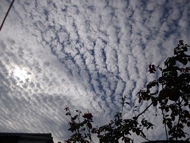 f:id:cangael:20121006091159j:image:left