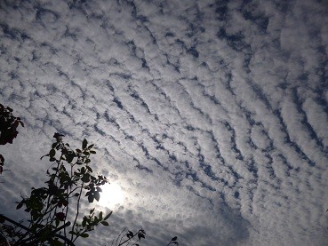 f:id:cangael:20121006091329j:image:left