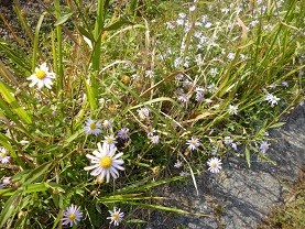 f:id:cangael:20121008150421j:image