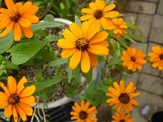 f:id:cangael:20121011131405j:image f:id:cangael:20121011131405j:image