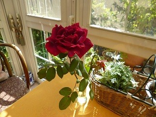 f:id:cangael:20121015103324j:image:right
