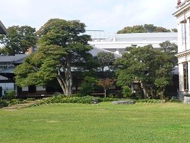 f:id:cangael:20121017092955j:image:right