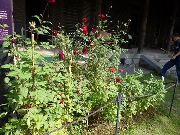 f:id:cangael:20121017093940j:image:right