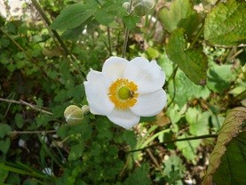 f:id:cangael:20121025105049j:image:right f:id:cangael:20121025105049j:image:right