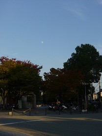 f:id:cangael:20121026161729j:image:right