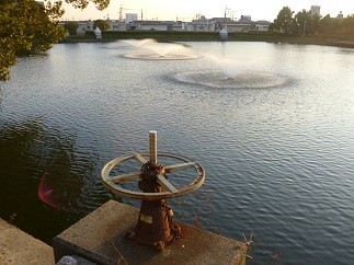 f:id:cangael:20121026163122j:image:right