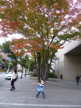 f:id:cangael:20121104162912j:image:left