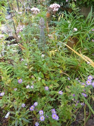 f:id:cangael:20121107152520j:image:left