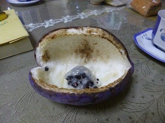 f:id:cangael:20121108091536j:image