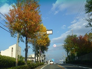 f:id:cangael:20121109152133j:image:right f:id:cangael:20121109152133j:image:right