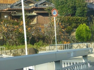 f:id:cangael:20121109152548j:image:right f:id:cangael:20121109152548j:image:right