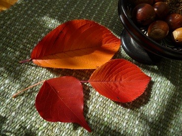 f:id:cangael:20121112102558j:image:right f:id:cangael:20121112102558j:image:right