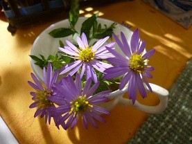 f:id:cangael:20121112102841j:image:left