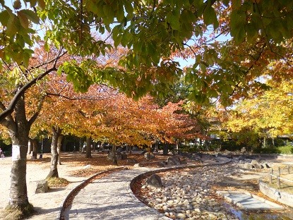 f:id:cangael:20121112140621j:image:right