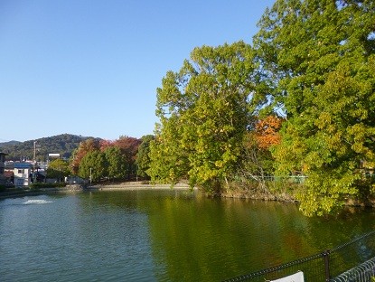 f:id:cangael:20121112152112j:image:right