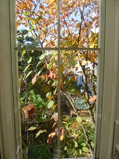 f:id:cangael:20121114110239j:image:left