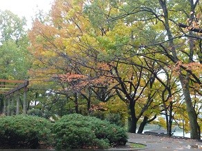 f:id:cangael:20121123123449j:image:right