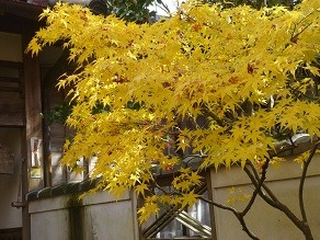 f:id:cangael:20121127130610j:image