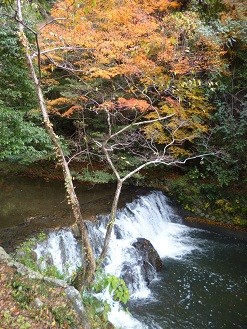f:id:cangael:20121127131617j:image:left