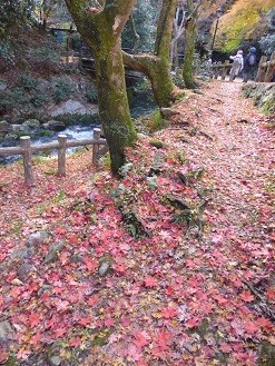 f:id:cangael:20121127145528j:image