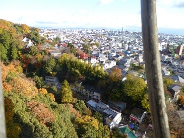 f:id:cangael:20121201151640j:image:left