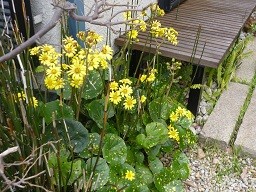 f:id:cangael:20121210135534j:image:left