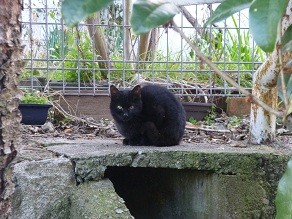 f:id:cangael:20121211155428j:image:right f:id:cangael:20121211155428j:image:right