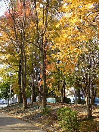 f:id:cangael:20121216144022j:image:right